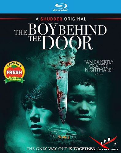  / The Boy Behind the Door (2020) HDRip / BDRip (720p, 1080p)