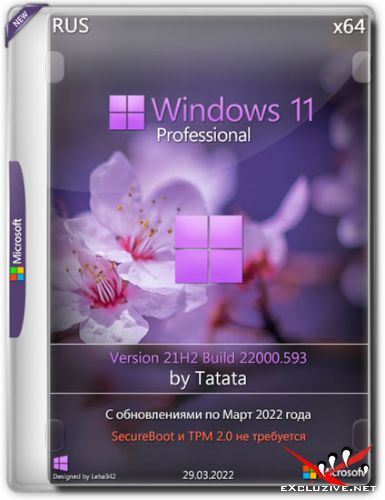 Windows 11 Professional 22000.593 x64 by Tatata (RUS/2022)