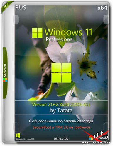 Windows 11 Professional 22000.651 x64 by Tatata (RUS/2022)