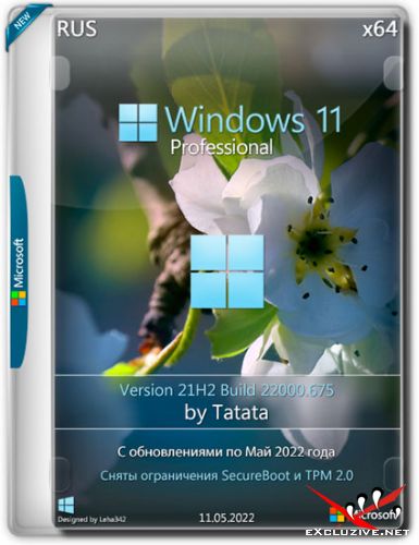 Windows 11 Professional 22000.675 x64 by Tatata (RUS/2022)