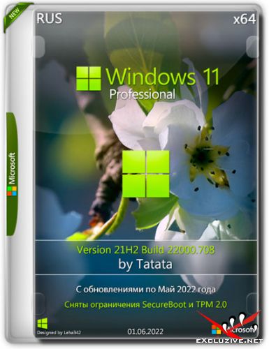 Windows 11 Professional 21H2.22000.708 x64 by Tatata (RUS/2022)