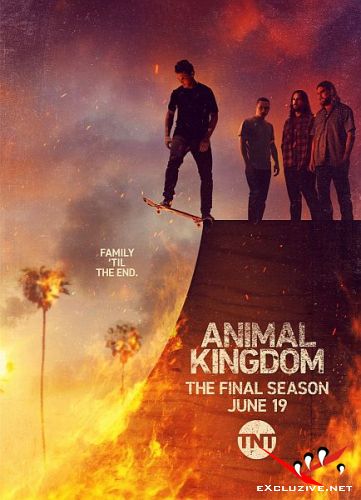    / Animal Kingdom (6 /2022/WEB-DL/1080p/WEB-DLRip)